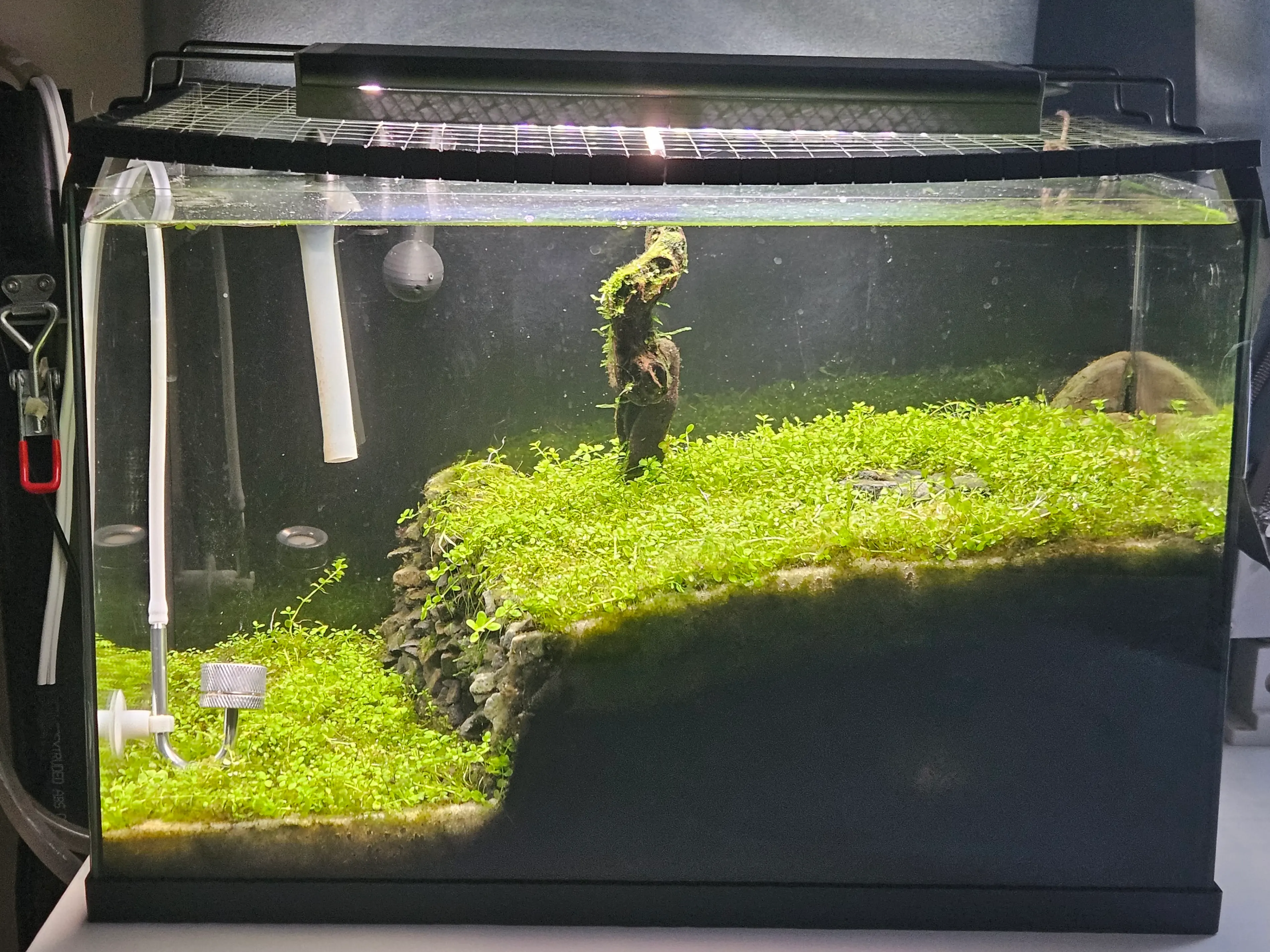 Aquarium 2.0 image 1